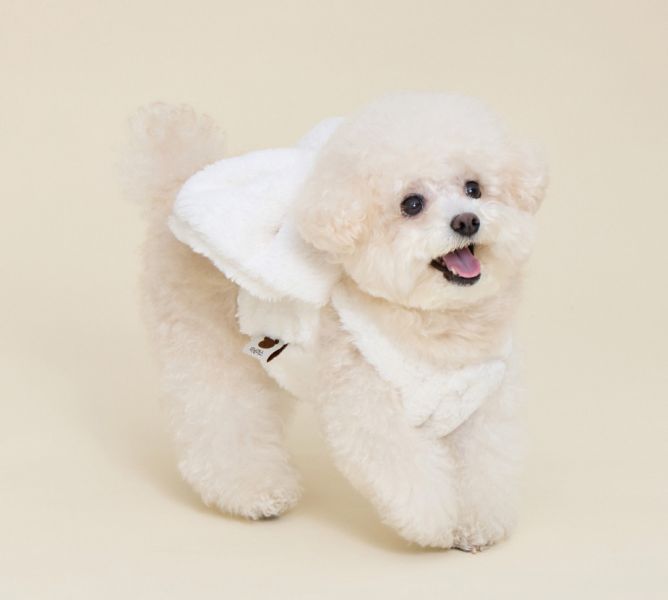 預購0115收單 | MLD 毛絨絨大蝴蝶結胸背衣 (粉/白/黑 3色，S-XL) 寵物服飾,寵物選品,韓國寵物服飾,狗衣服,貓衣服,韓國寵物品牌,寵物有機棉,韓國寵物選品,韓國寵物秋冬選品,狗四腳衣,寵物保暖,寵物保暖服飾,韓國寵物保暖服飾