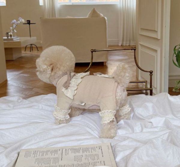 Meaningless Dog | MLD蕾絲花邊四腳衣(S-2XL) 寵物服飾,寵物選品,韓國寵物服飾,狗衣服,貓衣服,韓國寵物品牌,寵物有機棉,韓國寵物選品,韓國寵物秋冬選品,狗四腳衣,寵物保暖,寵物保暖服飾,韓國寵物保暖服飾