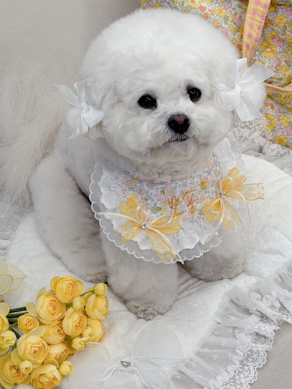 預購0305收單 | SOSO Delight 春季碎花刺繡手工領巾 寵物服飾,寵物選品,韓國寵物服飾,狗衣服,貓衣服,韓國寵物品牌