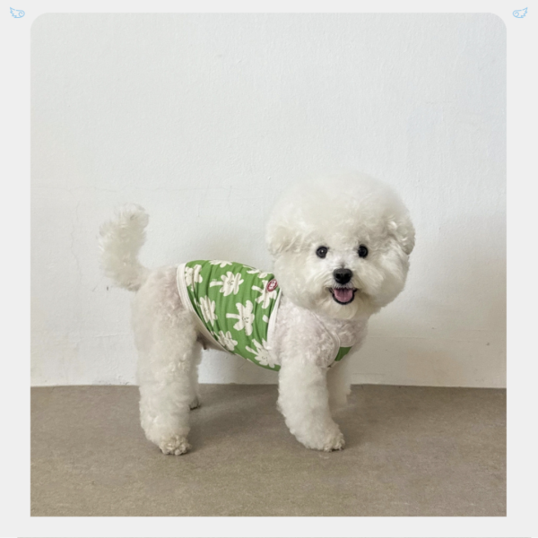 CRR | 綠色椰子樹涼感吊嘎(M-3XL) 寵物服飾,寵物選品,韓國寵物服飾,狗衣服,貓衣服,韓國寵物品牌,寵物有機棉,韓國寵物選品,韓國寵物春夏選品,寵物可愛上衣,寵物涼感,CRR