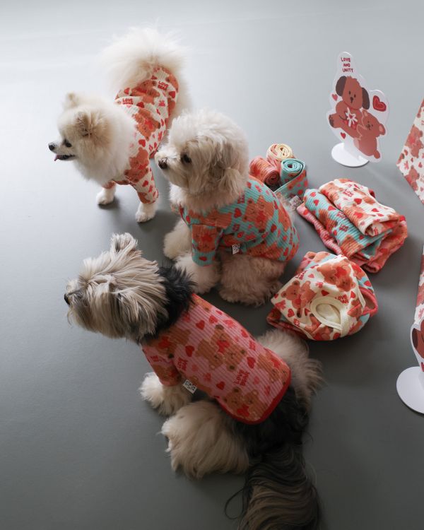 預購1028收單 | côte à côte 秋季愛心熊熊有袖上衣(3色，SM-3XL) 寵物服飾,寵物選品,韓國寵物服飾,狗衣服,貓衣服,韓國寵物品牌,韓國寵物選品,韓國寵物春夏選品,寵物背心,COTEACOTE,韓國寵物品牌服飾,韓國寵物秋冬選品,寵物四腳衣,寵物連身褲,韓國冬天寵物,寵物保暖