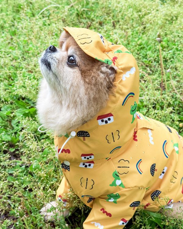 côte à côte |可愛童話款雨衣(兩色/L-3XL) 寵物服飾,寵物選品,韓國寵物服飾,狗衣服,貓衣服,韓國寵物品牌,寵物有機棉,韓國寵物選品,韓國寵物春夏選品,寵物可愛上衣,寵物涼感,côte à côte, 寵物雨衣