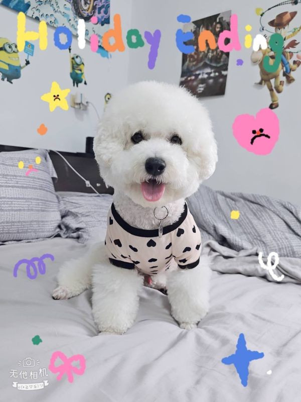 滿版愛心開襟衫 寵物服飾,寵物選品,韓國寵物服飾,狗衣服,貓衣服,韓國寵物品牌,寵物配件