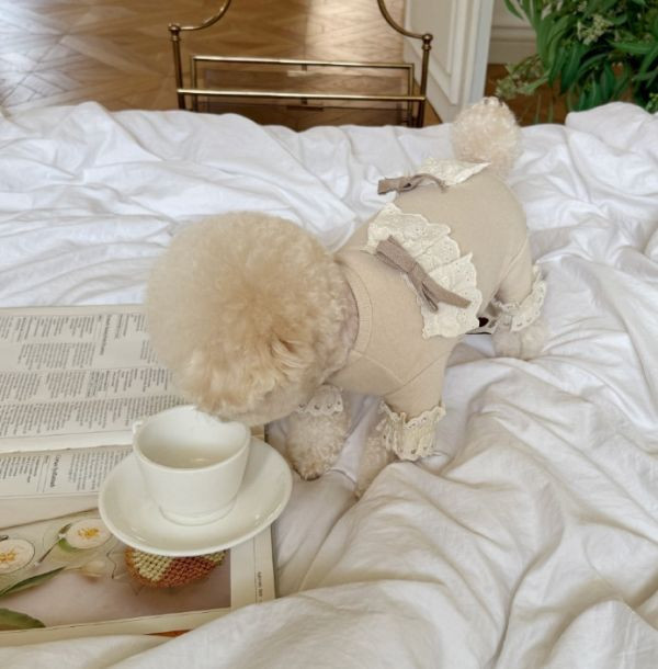 Meaningless Dog | MLD蕾絲花邊四腳衣(S-2XL) 寵物服飾,寵物選品,韓國寵物服飾,狗衣服,貓衣服,韓國寵物品牌,寵物有機棉,韓國寵物選品,韓國寵物秋冬選品,狗四腳衣,寵物保暖,寵物保暖服飾,韓國寵物保暖服飾