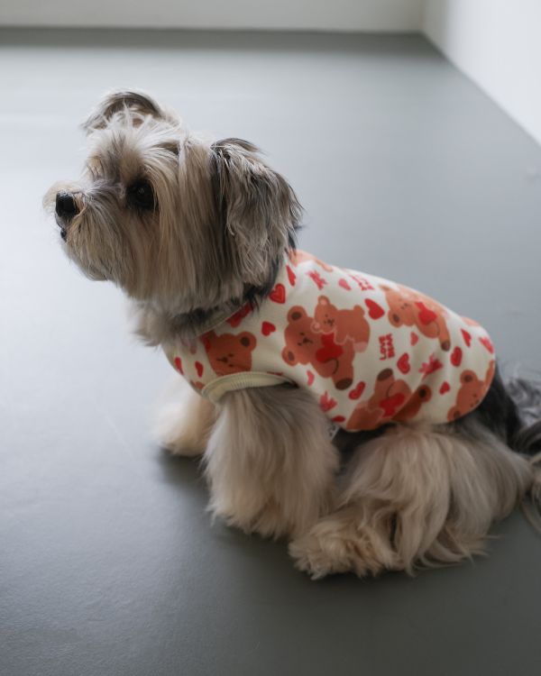 預購1028收單 | côte à côte 秋季愛心熊熊無袖背心(3色，SM-3XL) 寵物服飾,寵物選品,韓國寵物服飾,狗衣服,貓衣服,韓國寵物品牌,韓國寵物選品,韓國寵物春夏選品,寵物背心,COTEACOTE,韓國寵物品牌服飾,韓國寵物秋冬選品,寵物四腳衣,寵物連身褲,韓國冬天寵物,寵物保暖