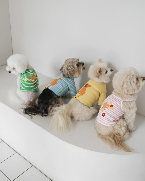 預購0410收單 | côte à côte 氣球小狗羅紋背心(3色，SM-3XL) 寵物服飾,寵物選品,韓國寵物服飾,狗衣服,貓衣服,韓國寵物品牌,韓國寵物選品,韓國寵物春夏選品,寵物背心,COTEACOTE,韓國寵物品牌服飾,韓國寵物秋冬選品,寵物四腳衣,寵物連身褲,韓國冬天寵物,寵物保暖