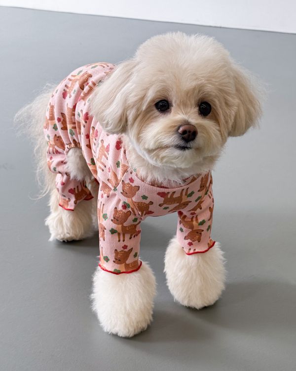 預購1028收單 | côte à côte 秋季梅花鹿木耳邊四腳衣(SM-2XL) 寵物服飾,寵物選品,韓國寵物服飾,狗衣服,貓衣服,韓國寵物品牌,韓國寵物選品,韓國寵物春夏選品,寵物背心,COTEACOTE,韓國寵物品牌服飾,韓國寵物秋冬選品,寵物四腳衣,寵物連身褲,韓國冬天寵物,寵物保暖