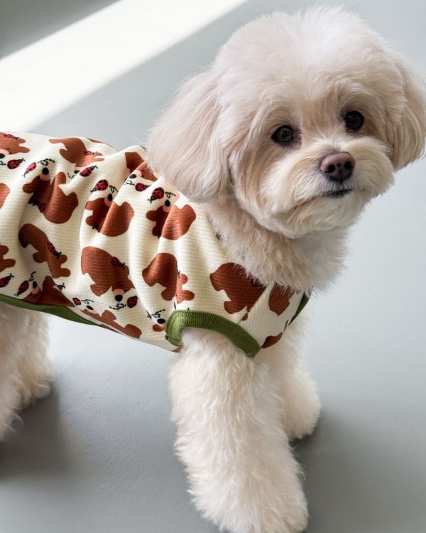 預購1028收單 | côte à côte 秋季小熊無袖背心(SM-3XL) 寵物服飾,寵物選品,韓國寵物服飾,狗衣服,貓衣服,韓國寵物品牌,韓國寵物選品,韓國寵物春夏選品,寵物背心,COTEACOTE,韓國寵物品牌服飾,韓國寵物秋冬選品,寵物四腳衣,寵物連身褲,韓國冬天寵物,寵物保暖