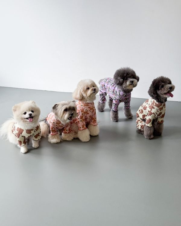 預購1028收單 | côte à côte 秋季小熊木耳邊四腳衣(SM-2XL) 寵物服飾,寵物選品,韓國寵物服飾,狗衣服,貓衣服,韓國寵物品牌,韓國寵物選品,韓國寵物春夏選品,寵物背心,COTEACOTE,韓國寵物品牌服飾,韓國寵物秋冬選品,寵物四腳衣,寵物連身褲,韓國冬天寵物,寵物保暖