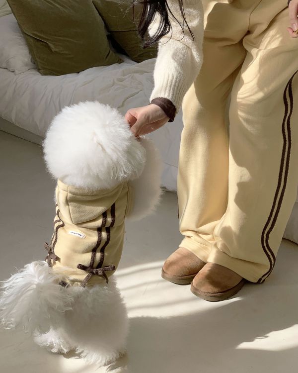 預購1123收單 | DR家棉質長褲(親子裝大人款)(四色) 寵物服飾,寵物選品,韓國寵物服飾,狗衣服,貓衣服,韓國寵物品牌,寵物有機棉,韓國寵物選品,韓國寵物春夏選品,寵物風衣,寵物防水衣,DRRR,寵物針織背心