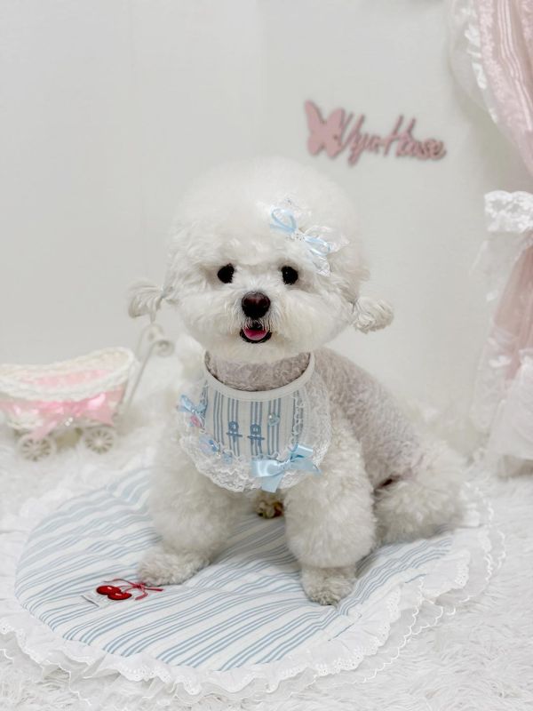預購0621收單 | SOSO DELIGHT 條紋暖萌刺繡名字圍兜兜 寵物服飾,寵物選品,韓國寵物服飾,狗衣服,貓衣服,韓國寵物品牌