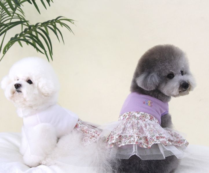 ODD PET | 小碎花紗裙(S-M) 寵物服飾,寵物選品,韓國寵物服飾,狗衣服,貓衣服,韓國寵物品牌,寵物有機棉,韓國寵物選品,胸背,胸背衣