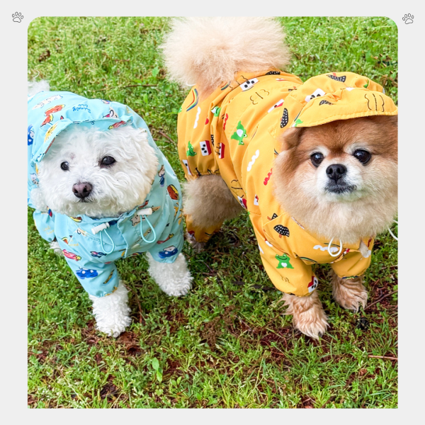 côte à côte |可愛童話款雨衣(兩色/L-3XL) 寵物服飾,寵物選品,韓國寵物服飾,狗衣服,貓衣服,韓國寵物品牌,寵物有機棉,韓國寵物選品,韓國寵物春夏選品,寵物可愛上衣,寵物涼感,côte à côte, 寵物雨衣