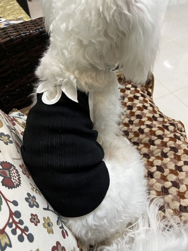 赫本風棉質小背心 寵物服飾,寵物選品,韓國寵物服飾,狗衣服,貓衣服,韓國寵物品牌,寵物配件