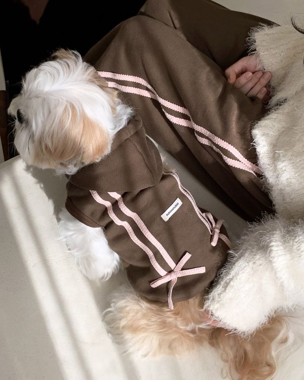 預購1123收單 | DR家棉質長褲(親子裝大人款)(四色) 寵物服飾,寵物選品,韓國寵物服飾,狗衣服,貓衣服,韓國寵物品牌,寵物有機棉,韓國寵物選品,韓國寵物春夏選品,寵物風衣,寵物防水衣,DRRR,寵物針織背心