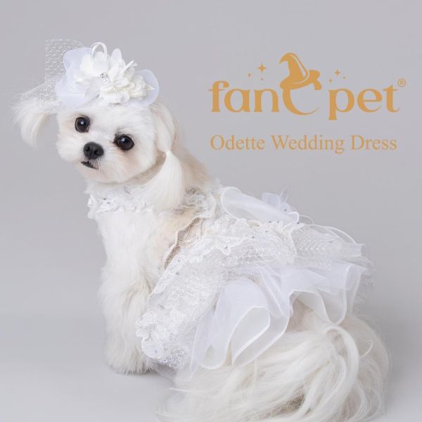 預購0510收單 | FanCpet Rose婚禮必備禮服(婚紗與燕尾服，S-2XL) 寵物服飾,寵物選品,韓國寵物服飾,狗衣服,貓衣服,韓國寵物品牌,韓國寵物選品,韓國寵物春夏選品,寵物背心,COTEACOTE,韓國寵物品牌服飾,韓國寵物秋冬選品,寵物四腳衣,寵物連身褲,韓國冬天寵物,寵物保暖
