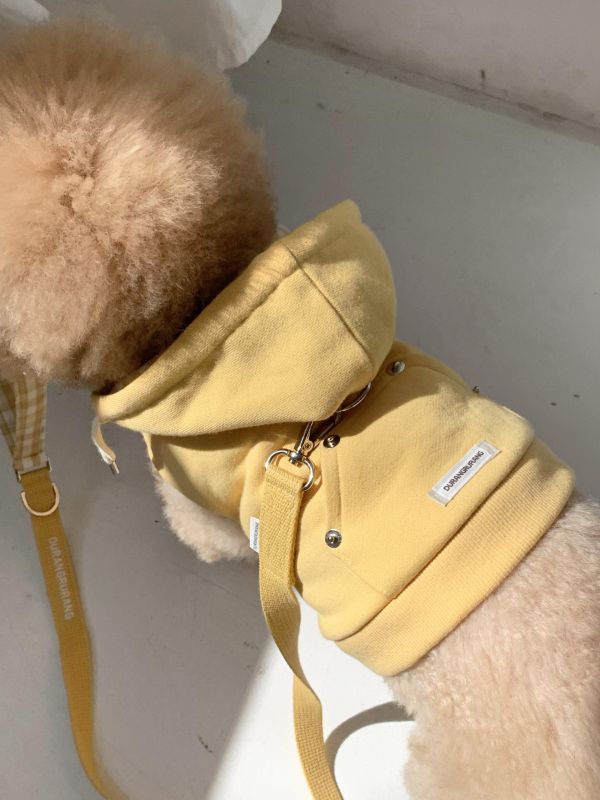 預購0410收單 | DR家格紋帽胸背衣(五色 S-2XL) 寵物服飾,寵物選品,韓國寵物服飾,狗衣服,貓衣服,韓國寵物品牌,寵物有機棉,韓國寵物選品,韓國寵物春夏選品,寵物風衣,寵物防水衣,DRRR,寵物針織背心