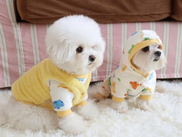 預購0112收單 | DRRR家恐龍內刷毛上衣(S-2XL) 寵物服飾,寵物選品,韓國寵物服飾,狗衣服,貓衣服,韓國寵物品牌,寵物有機棉,韓國寵物選品,韓國寵物秋冬選品,狗圍巾,寵物保暖,寵物保暖服飾,韓國寵物保暖服飾