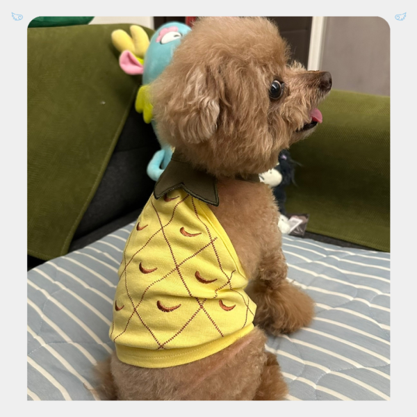 預購｜熱帶水果夏季削肩背心 寵物服飾,寵物選品,韓國寵物服飾,狗衣服,貓衣服,韓國寵物品牌,寵物配件
