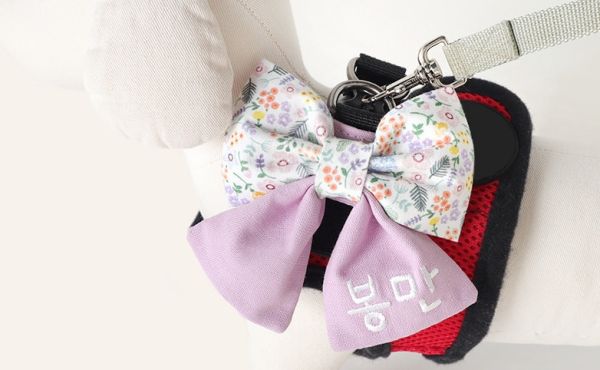預購 |  Epeels 碎花蝴蝶結款胸背裝飾(下單請備註刺繡內容) 寵物服飾,寵物選品,韓國寵物服飾,狗衣服,貓衣服,韓國寵物品牌,韓國寵物選品,韓國寵物春夏選品,寵物名牌,寵物客製商品,EPEELS,胸背裝飾