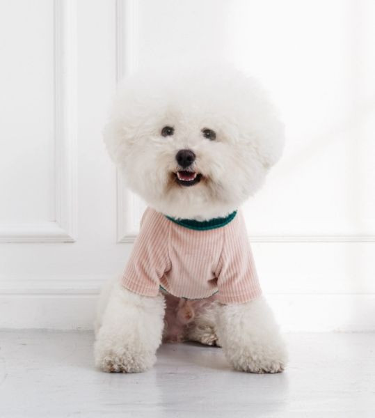 4DOGS坑條撞色上衣-粉色(S-2XL) 寵物服飾,寵物選品,韓國寵物服飾,狗衣服,貓衣服,韓國寵物品牌,寵物有機棉,韓國寵物選品,韓國寵物秋冬選品,狗圍巾,寵物保暖,寵物保暖服飾,韓國寵物保暖服飾
