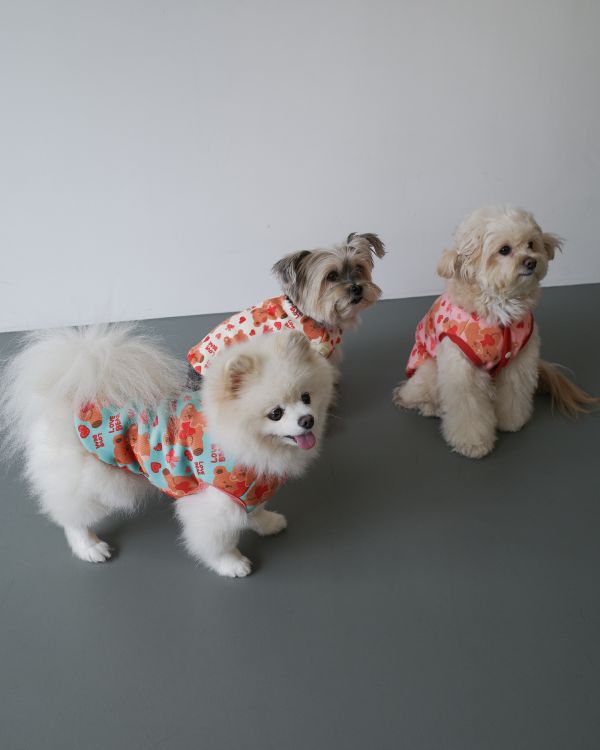 預購1028收單 | côte à côte 秋季愛心熊熊無袖背心(3色，SM-3XL) 寵物服飾,寵物選品,韓國寵物服飾,狗衣服,貓衣服,韓國寵物品牌,韓國寵物選品,韓國寵物春夏選品,寵物背心,COTEACOTE,韓國寵物品牌服飾,韓國寵物秋冬選品,寵物四腳衣,寵物連身褲,韓國冬天寵物,寵物保暖