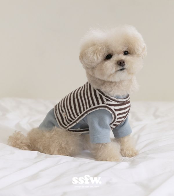 預購0902收單 | SSFW 軟萌小背心內搭組(三色S-2XL) 寵物服飾,寵物選品,韓國寵物服飾,狗衣服,貓衣服,韓國寵物品牌,寵物有機棉,韓國寵物選品,韓國寵物春夏選品,寵物可愛上衣,寵物涼感,SSFW,BITEME