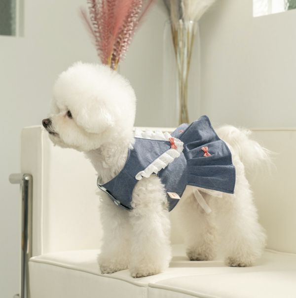 預購0614收單 | Choidog 學院風附胸背扣環洋裝(S-XL) 寵物服飾,寵物選品,韓國寵物服飾,狗衣服,貓衣服,韓國寵物品牌,寵物有機棉,韓國寵物選品,韓國寵物春夏選品,寵物可愛上衣,寵物涼感,防蟲涼感抗菌,寵物胸背衣