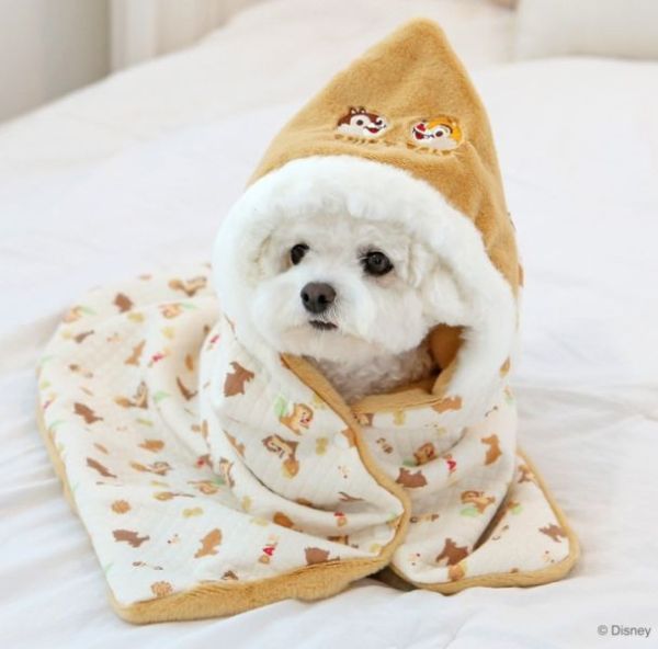 ITS DOG | 迪士尼授權奇奇蒂蒂雙面保暖毯-绗缝款FUN 寵物服飾,寵物選品,韓國寵物服飾,狗衣服,貓衣服,韓國寵物品牌,寵物有機棉,韓國寵物選品,韓國寵物秋冬選品,狗圍巾,寵物保暖,寵物保暖服飾,韓國寵物保暖服飾