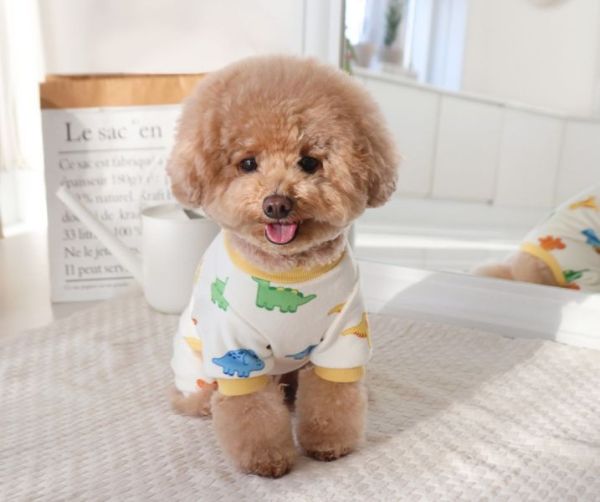 預購0112收單 | DRRR家恐龍內刷毛上衣(S-2XL) 寵物服飾,寵物選品,韓國寵物服飾,狗衣服,貓衣服,韓國寵物品牌,寵物有機棉,韓國寵物選品,韓國寵物秋冬選品,狗圍巾,寵物保暖,寵物保暖服飾,韓國寵物保暖服飾