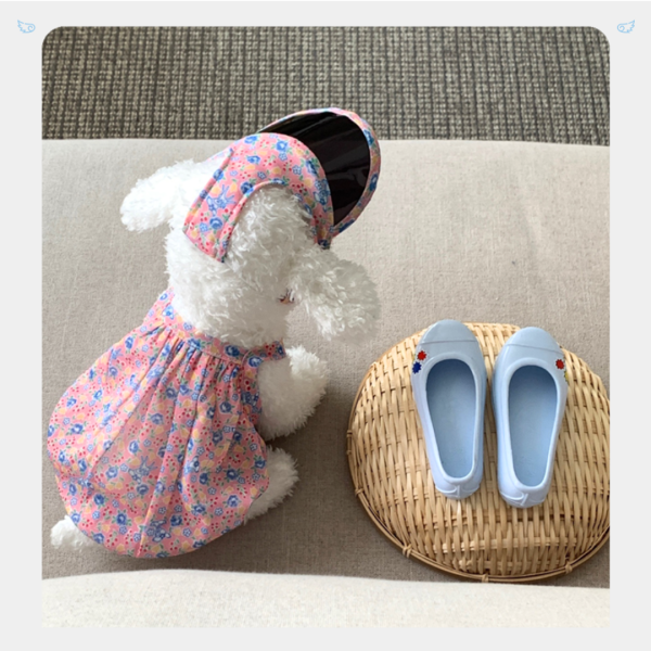 南法風情碎花遮陽帽 寵物服飾,寵物選品,韓國寵物服飾,狗衣服,貓衣服,韓國寵物品牌,寵物配件