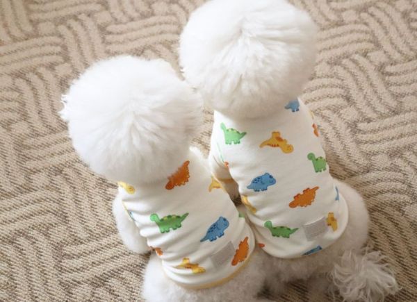 預購0112收單 | DRRR家恐龍內刷毛上衣(S-2XL) 寵物服飾,寵物選品,韓國寵物服飾,狗衣服,貓衣服,韓國寵物品牌,寵物有機棉,韓國寵物選品,韓國寵物秋冬選品,狗圍巾,寵物保暖,寵物保暖服飾,韓國寵物保暖服飾