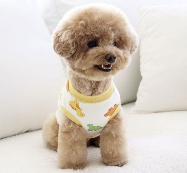 預購0112收單 | DRRR家恐龍內刷毛背心(S-2XL) 寵物服飾,寵物選品,韓國寵物服飾,狗衣服,貓衣服,韓國寵物品牌,寵物有機棉,韓國寵物選品,韓國寵物秋冬選品,狗圍巾,寵物保暖,寵物保暖服飾,韓國寵物保暖服飾