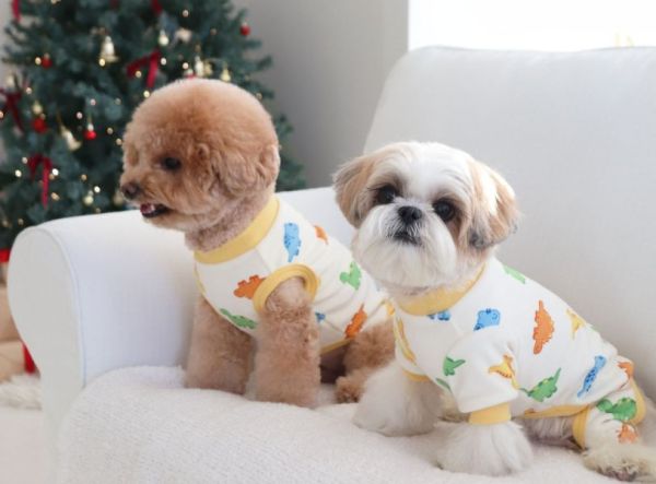 預購0112收單 | DRRR家恐龍內刷毛四腳衣(S-2XL) 寵物服飾,寵物選品,韓國寵物服飾,狗衣服,貓衣服,韓國寵物品牌,寵物有機棉,韓國寵物選品,韓國寵物秋冬選品,狗圍巾,寵物保暖,寵物保暖服飾,韓國寵物保暖服飾