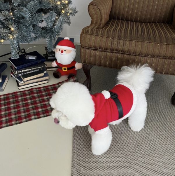聖誕老公公衣服(M-XL) 寵物服飾,寵物選品,韓國寵物服飾,狗衣服,貓衣服,韓國寵物品牌,寵物有機棉,韓國寵物選品, 韓國寵物秋冬選品, 寵物聖誕領巾,聖誕節,聖誕派對,寵物聖誕,寵物聖誕衣