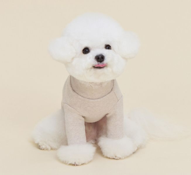 預購0115收單 | MLD 素色百搭高領上衣 (2色，S-2XL) 寵物服飾,寵物選品,韓國寵物服飾,狗衣服,貓衣服,韓國寵物品牌,寵物有機棉,韓國寵物選品,韓國寵物秋冬選品,狗四腳衣,寵物保暖,寵物保暖服飾,韓國寵物保暖服飾