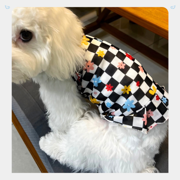 預購｜棋盤格花花連身裙 寵物服飾,寵物選品,韓國寵物服飾,狗衣服,貓衣服,韓國寵物品牌,寵物配件