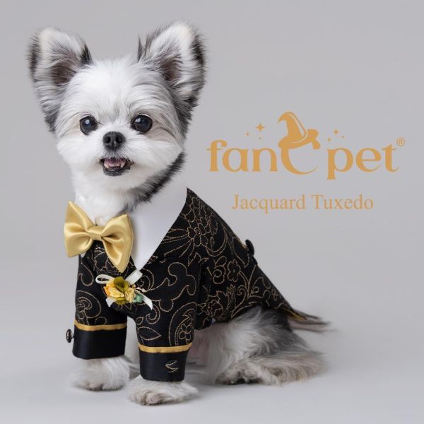 預購0510收單 | FanCpet Rose婚禮必備禮服(婚紗與燕尾服，S-2XL) 寵物服飾,寵物選品,韓國寵物服飾,狗衣服,貓衣服,韓國寵物品牌,韓國寵物選品,韓國寵物春夏選品,寵物背心,COTEACOTE,韓國寵物品牌服飾,韓國寵物秋冬選品,寵物四腳衣,寵物連身褲,韓國冬天寵物,寵物保暖