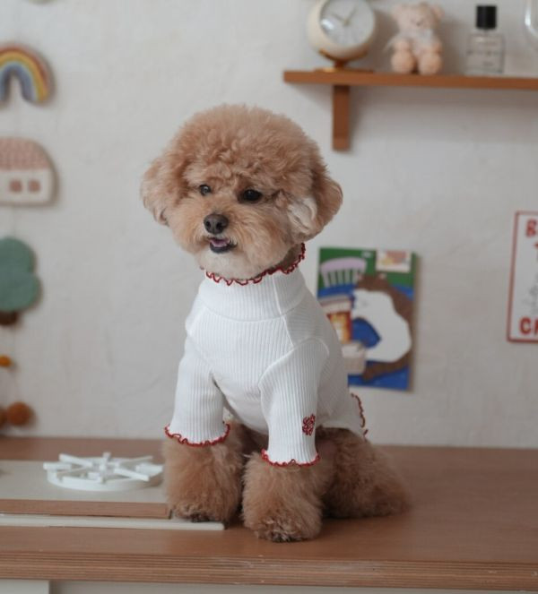 BELELE蘋果熊木耳邊坑條上衣(S-2XL) 寵物服飾,寵物選品,韓國寵物服飾,狗衣服,貓衣服,韓國寵物品牌,寵物有機棉,韓國寵物選品,韓國寵物秋冬選品,狗圍巾,寵物保暖,寵物保暖服飾,韓國寵物保暖服飾
