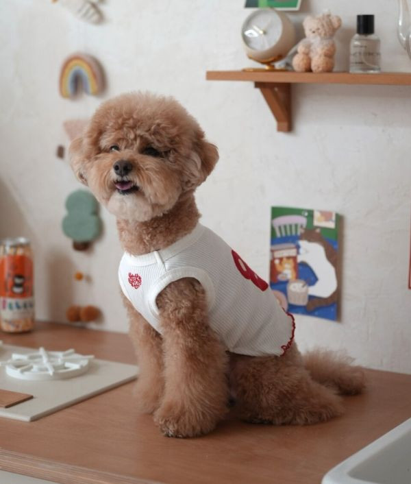 BELELE蘋果熊木耳邊坑條背心(S-2XL) 寵物服飾,寵物選品,韓國寵物服飾,狗衣服,貓衣服,韓國寵物品牌,寵物有機棉,韓國寵物選品,韓國寵物秋冬選品,狗圍巾,寵物保暖,寵物保暖服飾,韓國寵物保暖服飾