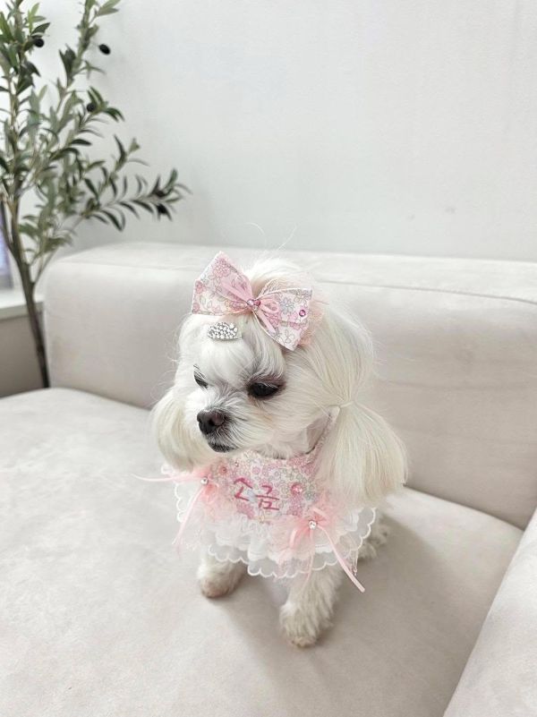 預購0305收單 | SOSO Delight 春季碎花刺繡手工領巾 寵物服飾,寵物選品,韓國寵物服飾,狗衣服,貓衣服,韓國寵物品牌