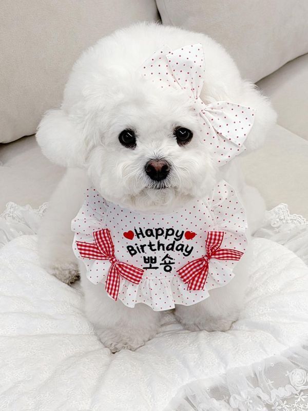 預購0305收單 | SOSO Delight 春季點點生日款刺繡手工領巾 寵物服飾,寵物選品,韓國寵物服飾,狗衣服,貓衣服,韓國寵物品牌