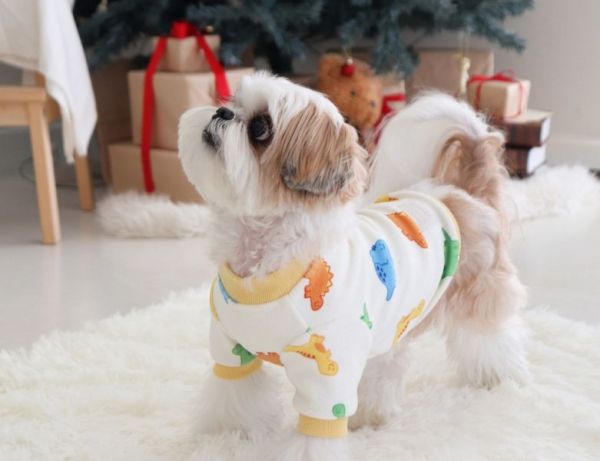 預購0112收單 | DRRR家恐龍內刷毛上衣(S-2XL) 寵物服飾,寵物選品,韓國寵物服飾,狗衣服,貓衣服,韓國寵物品牌,寵物有機棉,韓國寵物選品,韓國寵物秋冬選品,狗圍巾,寵物保暖,寵物保暖服飾,韓國寵物保暖服飾