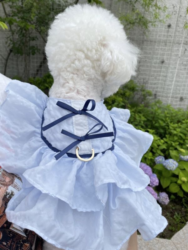 預購 | Choidog 涼感夏日藍胸背衣(S-XL) 寵物服飾,寵物選品,韓國寵物服飾,狗衣服,貓衣服,韓國寵物品牌,寵物有機棉,韓國寵物選品,韓國寵物春夏選品,寵物可愛上衣,寵物涼感,防蟲涼感抗菌,寵物胸背衣