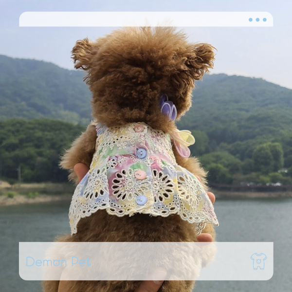 （預購結束）Eomuk Market | 彩虹蕾絲緊身裙 