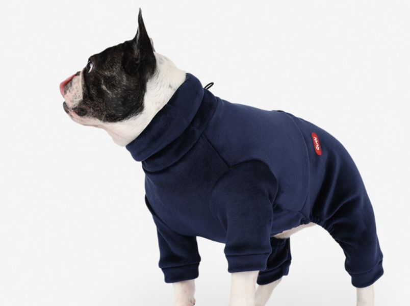 QUOI法鬥專屬品牌 | 超舒服連身褲-藕粉/米白/海軍藍(XL-3XL) 寵物服飾,寵物選品,韓國寵物服飾,狗衣服,貓衣服,韓國寵物品牌,寵物有機棉,韓國寵物選品,韓國寵物秋冬選品,狗圍巾,寵物保暖,寵物保暖服飾,韓國寵物保暖服飾,法鬥,QUOI,法國鬥牛犬