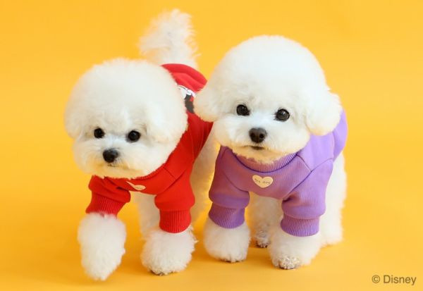 ITS DOG | 迪士尼授權款套頭上衣-大紅大紫招財黃過年必備上衣-紅(S-2XL) 寵物服飾,寵物選品,韓國寵物服飾,狗衣服,貓衣服,韓國寵物品牌,寵物有機棉,韓國寵物選品,韓國寵物秋冬選品,狗圍巾,寵物保暖,寵物保暖服飾,韓國寵物保暖服飾