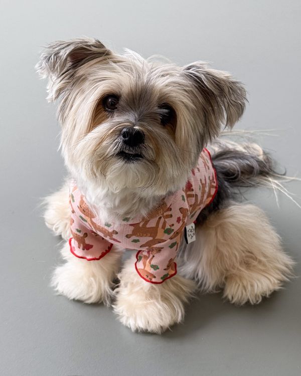 預購1028收單 | côte à côte 秋季梅花鹿木耳邊上衣(SM-3XL) 寵物服飾,寵物選品,韓國寵物服飾,狗衣服,貓衣服,韓國寵物品牌,韓國寵物選品,韓國寵物春夏選品,寵物背心,COTEACOTE,韓國寵物品牌服飾,韓國寵物秋冬選品,寵物四腳衣,寵物連身褲,韓國冬天寵物,寵物保暖