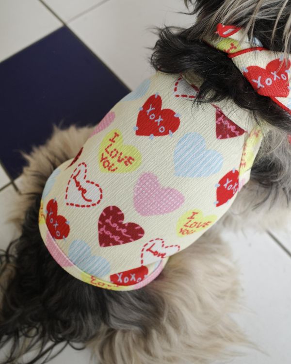 預購0410收單 | côte à côte XOXO背心(2色，SM-3XL) 寵物服飾,寵物選品,韓國寵物服飾,狗衣服,貓衣服,韓國寵物品牌,韓國寵物選品,韓國寵物春夏選品,寵物背心,COTEACOTE,韓國寵物品牌服飾,韓國寵物秋冬選品,寵物四腳衣,寵物連身褲,韓國冬天寵物,寵物保暖