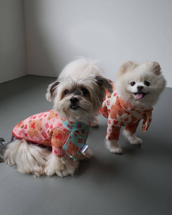 預購1028收單 | côte à côte 秋季愛心熊熊有袖上衣(3色，SM-3XL) 寵物服飾,寵物選品,韓國寵物服飾,狗衣服,貓衣服,韓國寵物品牌,韓國寵物選品,韓國寵物春夏選品,寵物背心,COTEACOTE,韓國寵物品牌服飾,韓國寵物秋冬選品,寵物四腳衣,寵物連身褲,韓國冬天寵物,寵物保暖